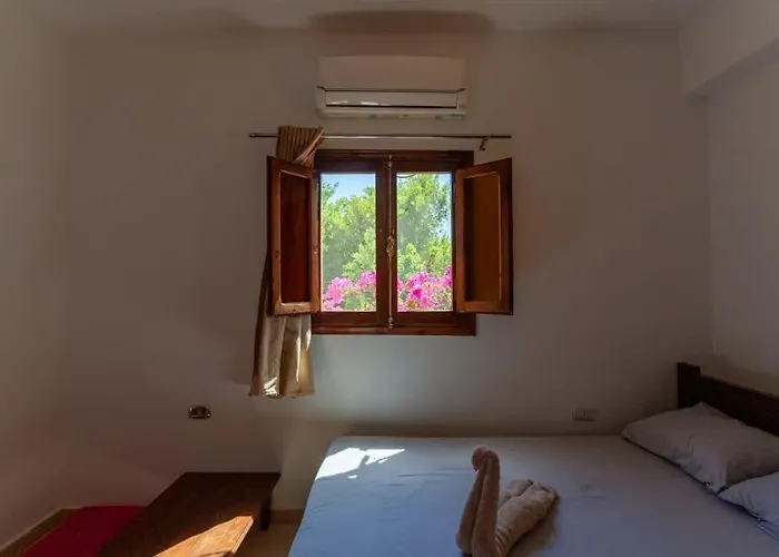 Cozy With A Huge Rooftop In